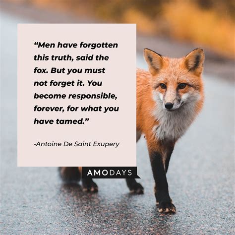 ACFOX Quote .